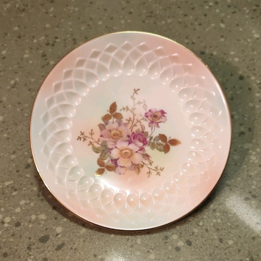 VTG Schumann Arzberg Bavaria Germany Wild Rose Porcelain Wall Plate Decor